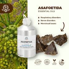 Asafoetida Oil